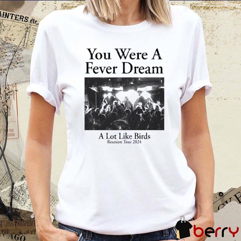 You Were A Fever Dream A Lot Like Birds Reunion Tour 2024 t-shirt
