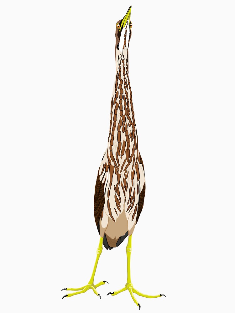 American Bittern by BennuBirdy