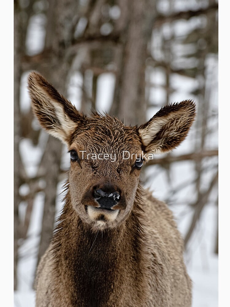 Wait ... I'm coming! by Tracey Dryka