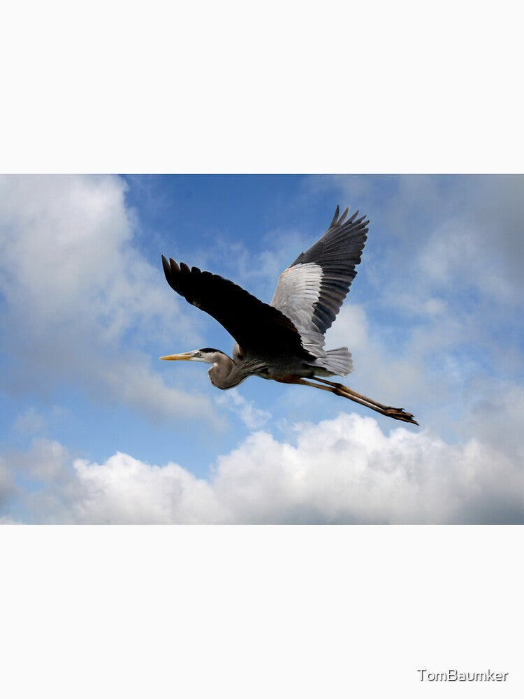 GREAT BLUE HERON by TomBaumker