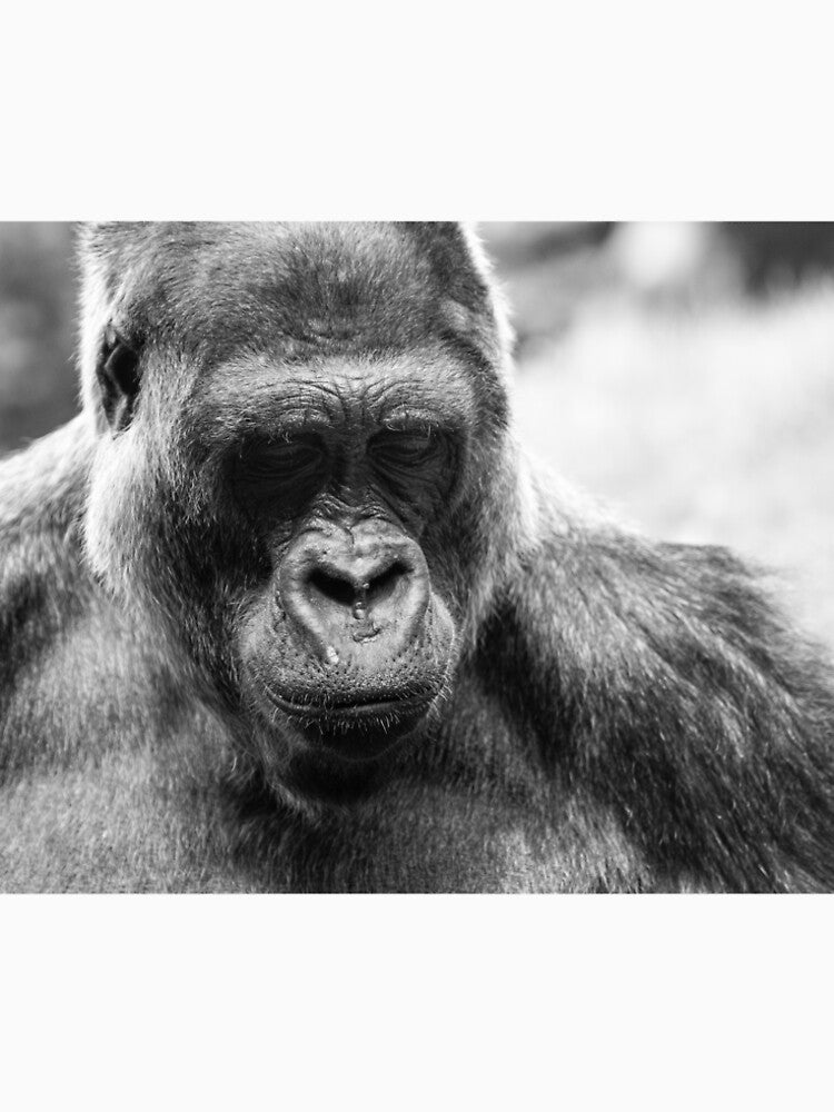 gorilla by m-conquest