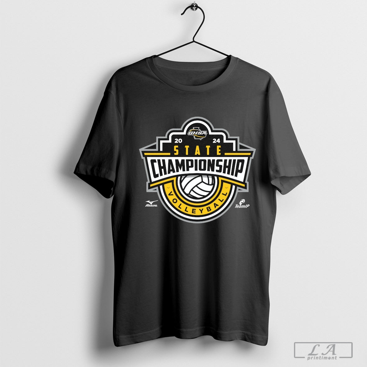 2024 Ghsa Volleyball State Championships