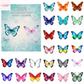 2025 Sea Glass Butterfly Advent Calendar