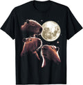 The Capybara Mountain