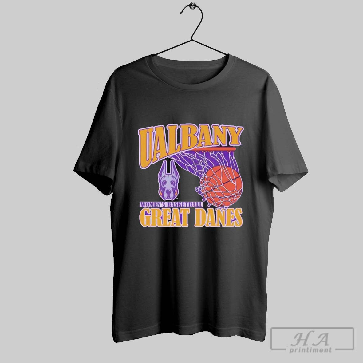 Albany Great Danes 2025 Womens Basketball Net