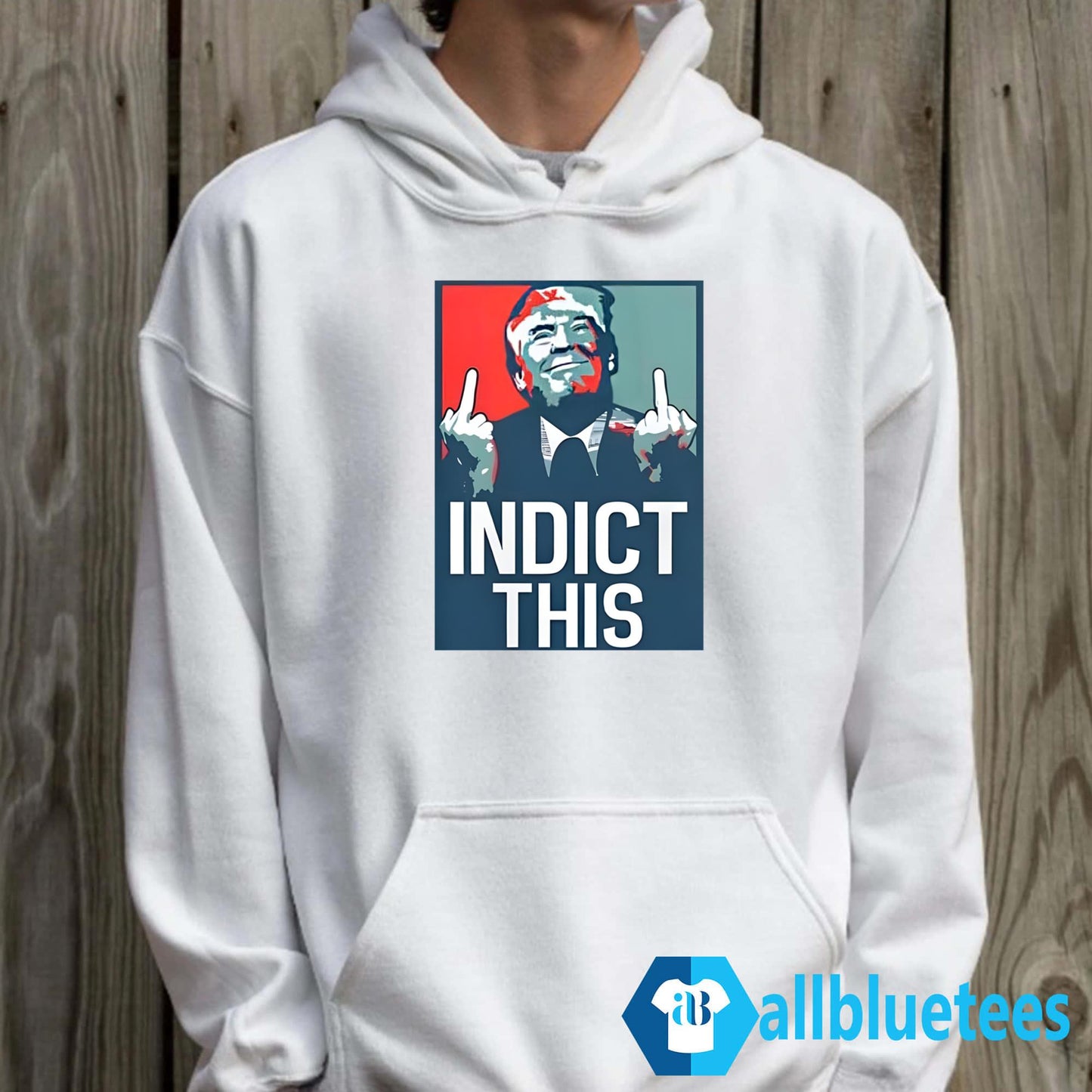 Alina Habba Indict This Trump Shirt