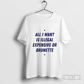 All I Want Is Illegal Expensive Or Brunette T Shirt Sweater