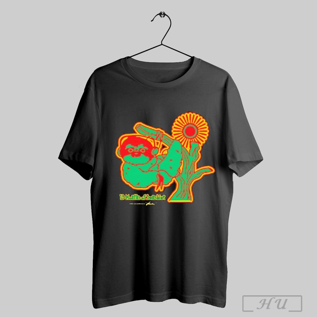 Amine 13 Months Of Sunshine 2025 T Shirt