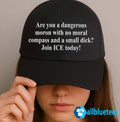 Are You A Dangerous Moron With No Moral Compass Hat