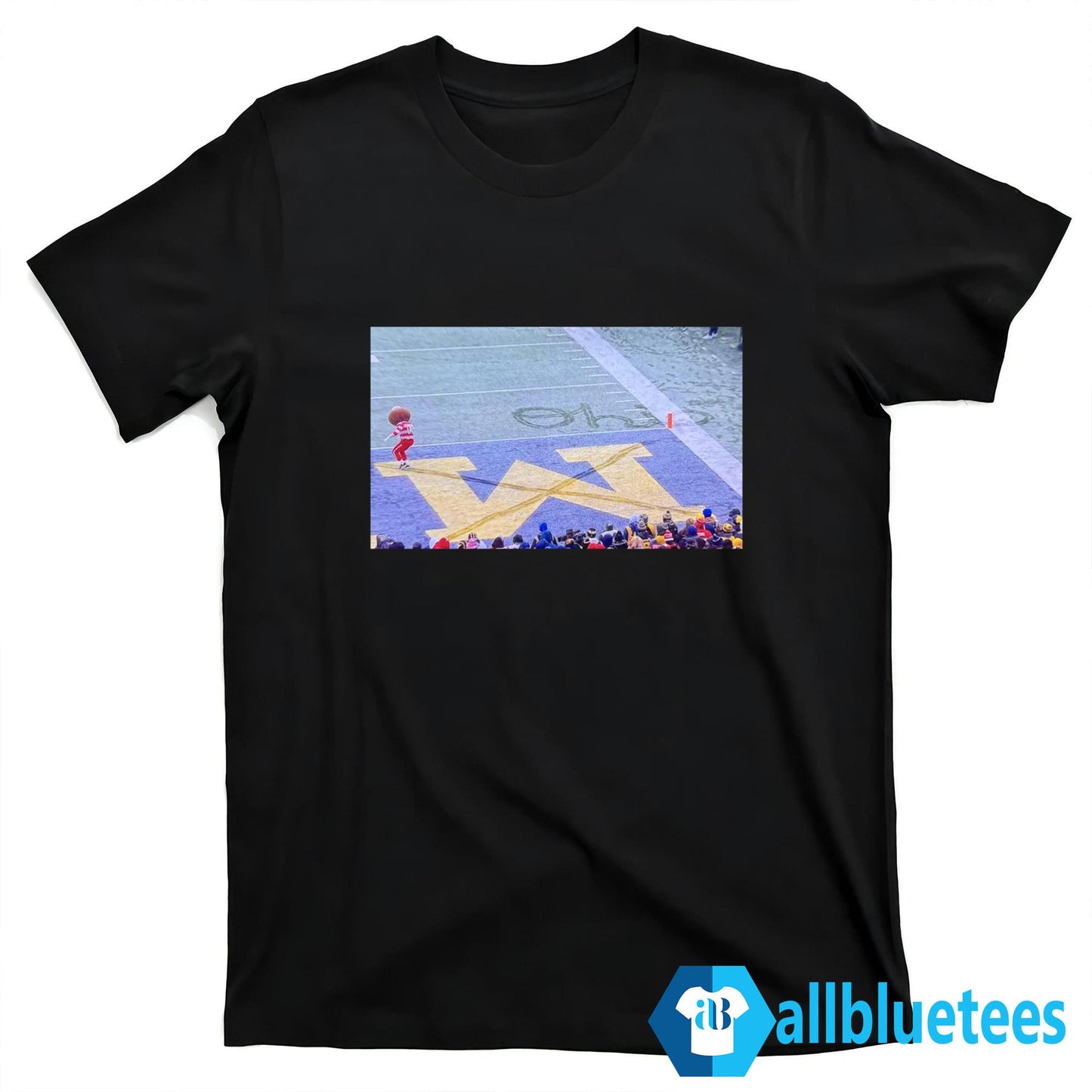 Buckeye Ohio Snow Shirt