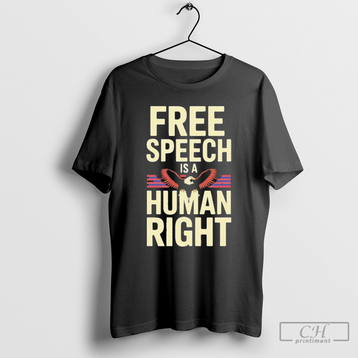 Charlie Kirk Free Speech Is A Human Righ Shirt Sweater