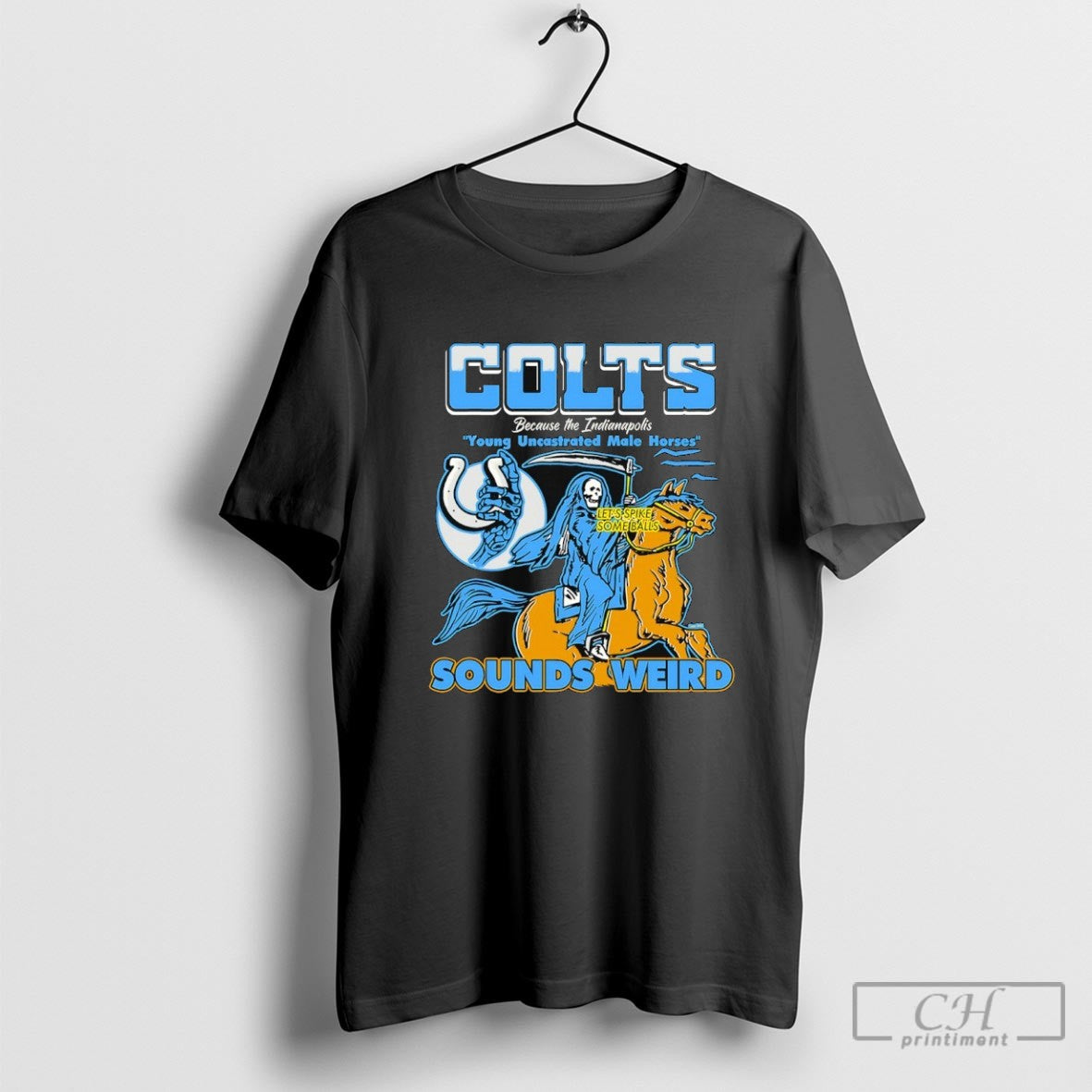 Colts Because The Indianapolis Young Uncastrated Male Horses Sounds Weird Shirt Sweater