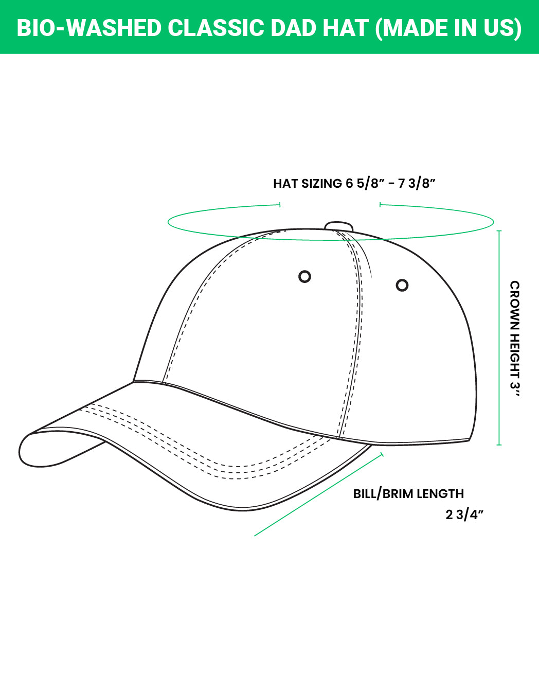 NICE National Immigration And Customs Enforcement Hat