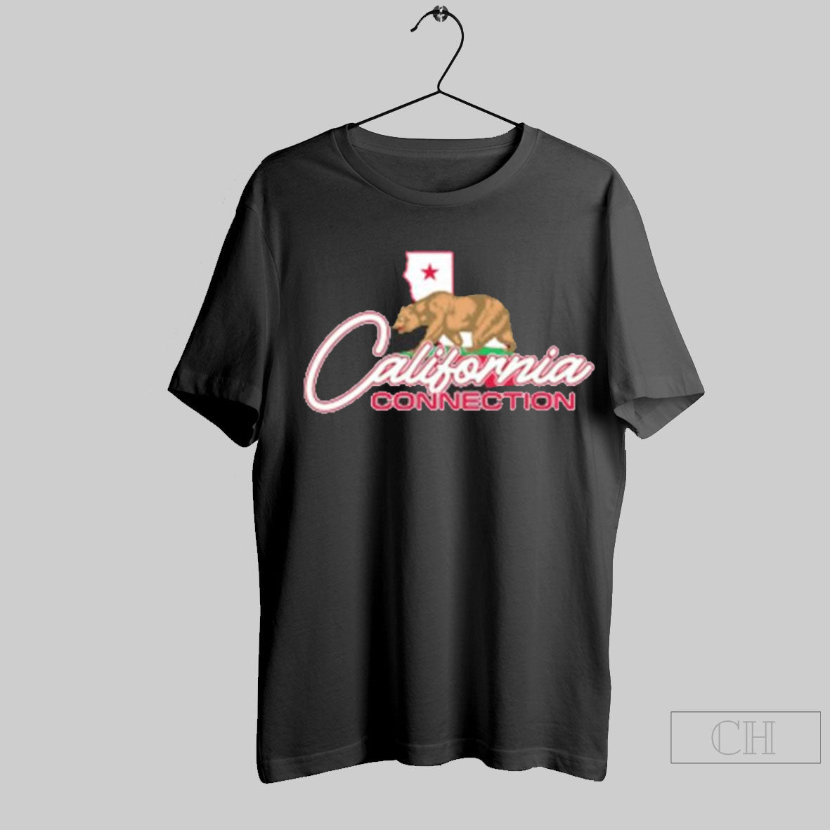Denise Salcedo The California Connection