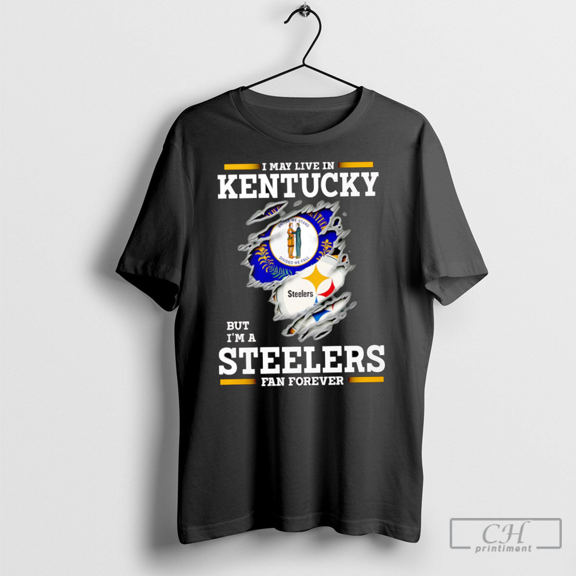 I May Live In Kentucky But Im A Steelers Fan Forever