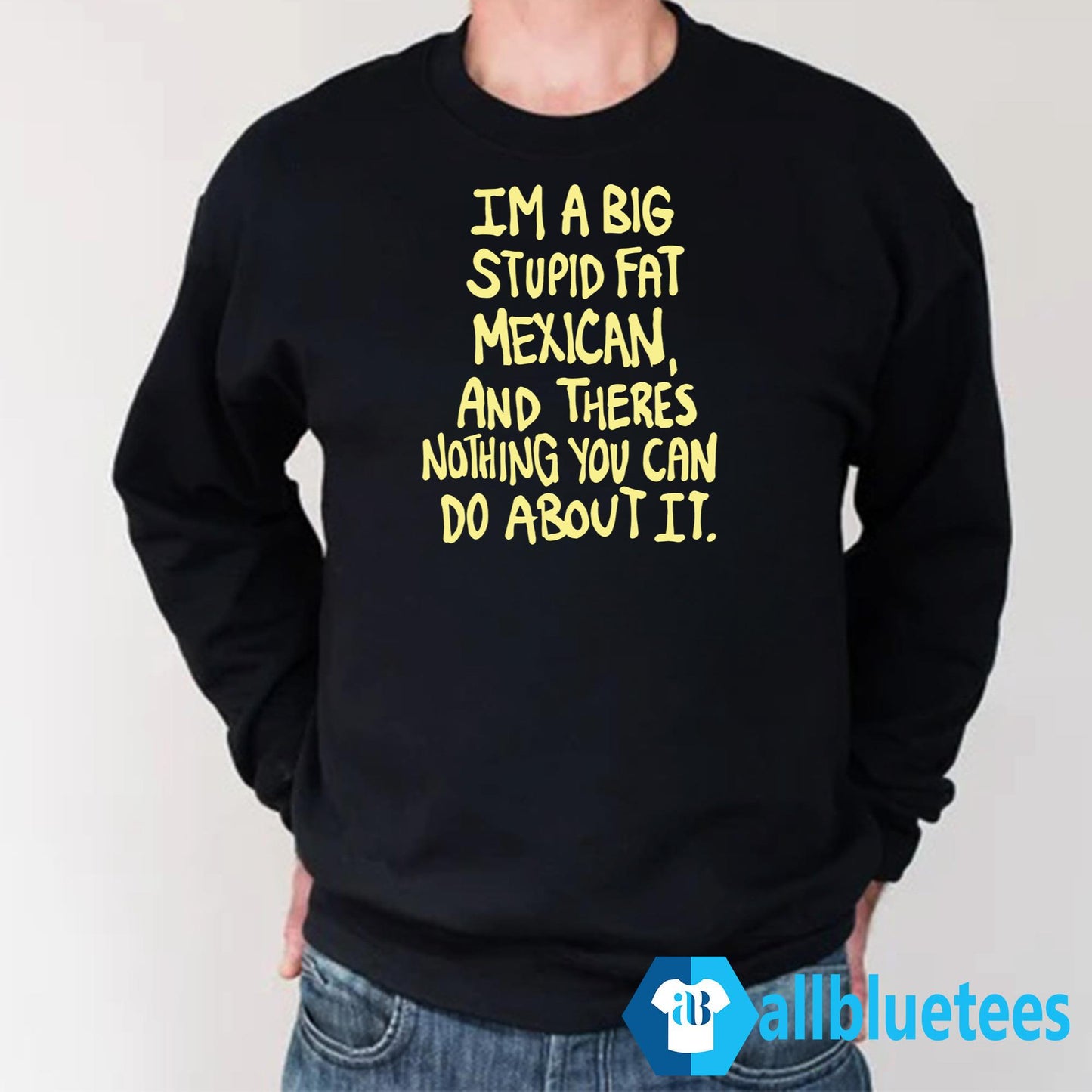 Im A Big Stupid Fat Mexican Shirt