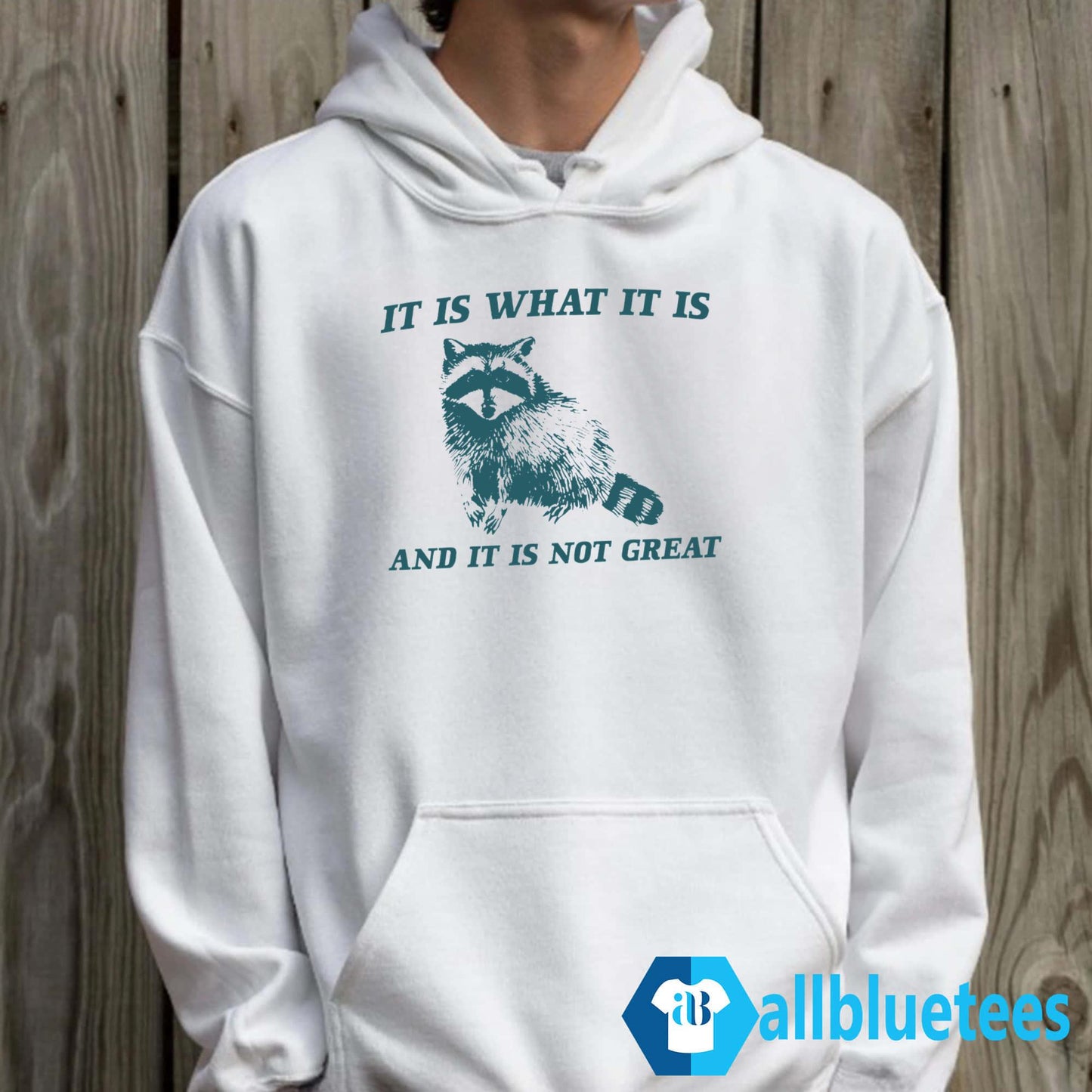 It Is What It Is And It Is Not Great Raccoon Shirt