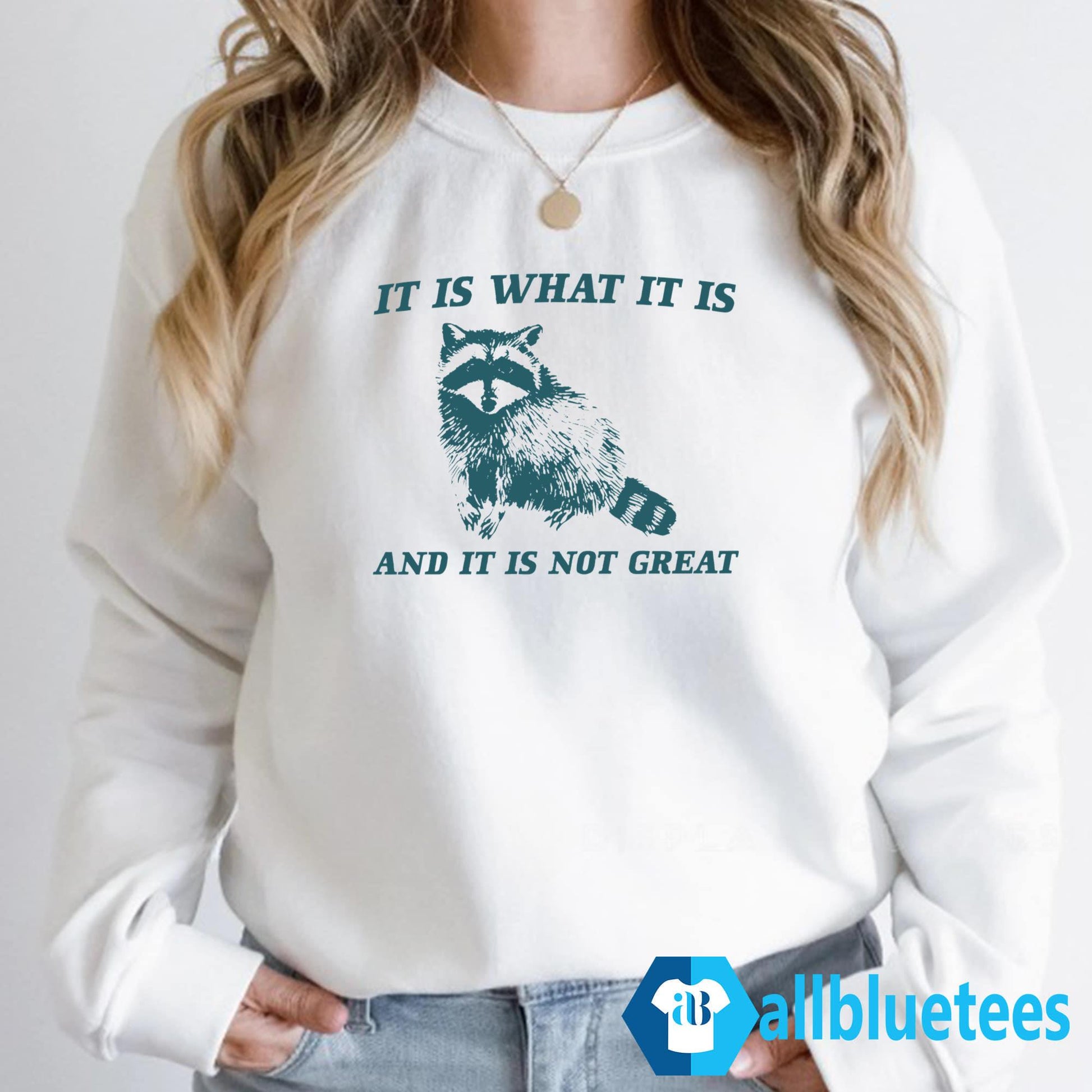 It Is What It Is And It Is Not Great Raccoon Shirt