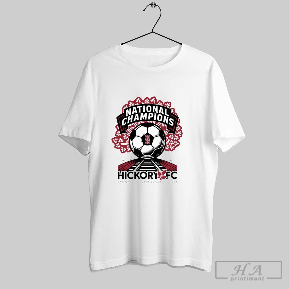 Official 2025 Npsl National Championship Hickory Fc