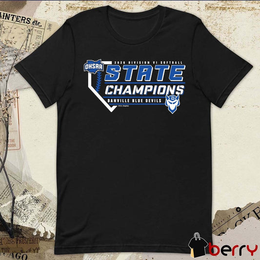 2026 OHSAA Softball DVI Back 2 Back State Champions Danville Blue Devils t-shirt