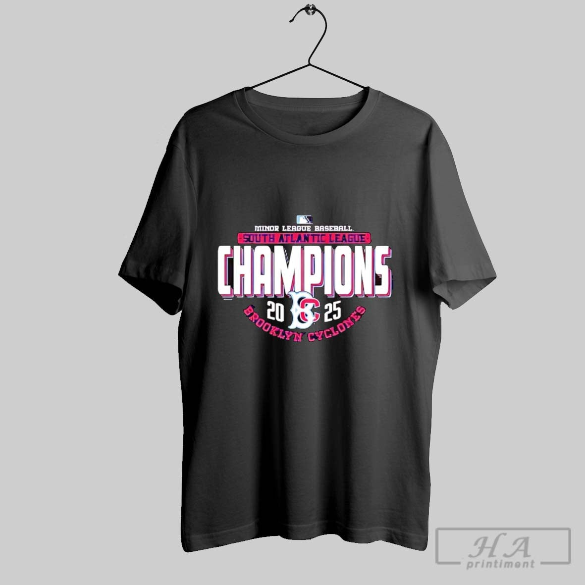 Official Brooklyn Cyclones 2025 South Atlantic League Champions