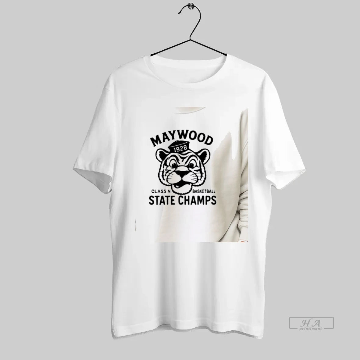 Official Maywood Class N Basketball State Champs