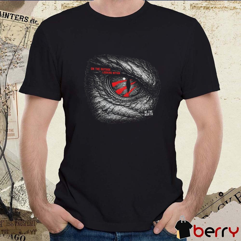 On The Outside Looking Within We The North Toronto Raptors 2026 NBA Playoffs t-shirt