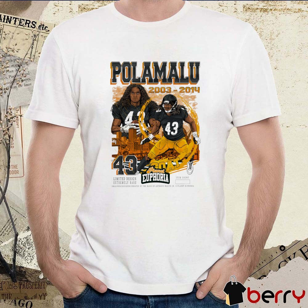Troy Polamalu 2003-2014 Pittsburgh Steelers NFL Planet Euphoria Art t-shirt