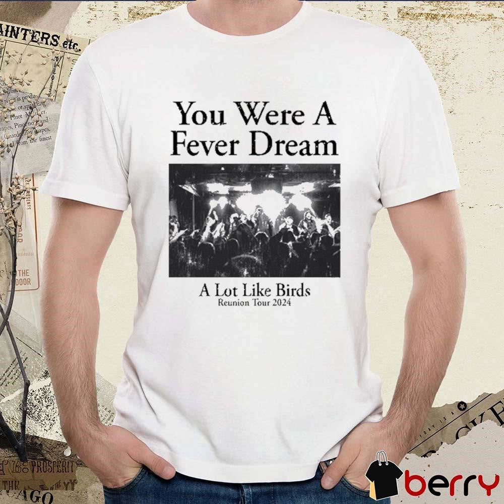 You Were A Fever Dream A Lot Like Birds Reunion Tour 2024 t-shirt