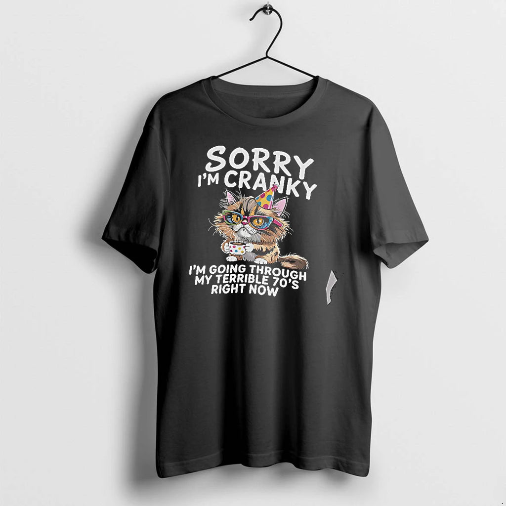 Officials Cat Sorry Im Cranky Im Going Through My Terrible 70s T Shirt Sweater