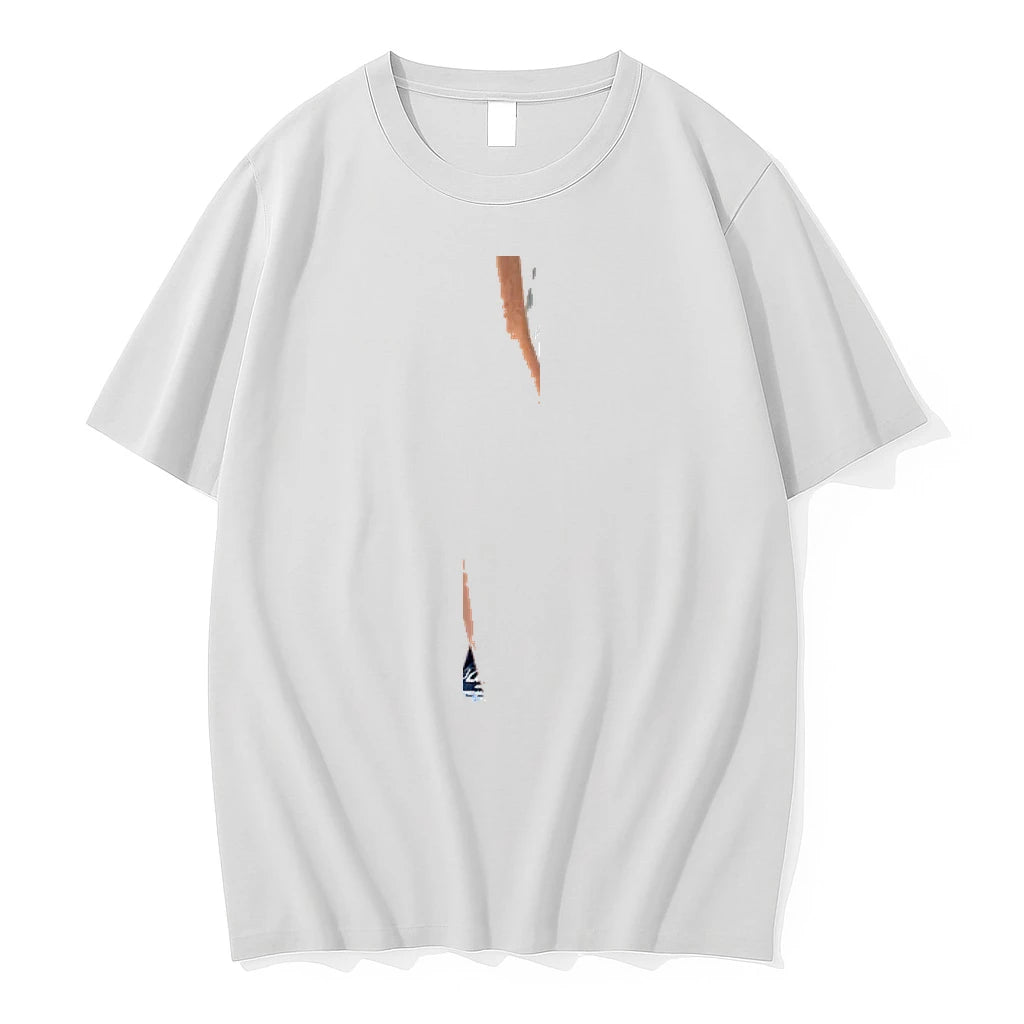 Officials Amyl And The Sniffers Bbq 2025 North America Tour Shirts Premium T Shirt