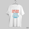 Original Chicago Still Stands Ice Melts Every Year