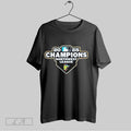 Original Everett Aquasox 2025 Northwest League Champions Logo