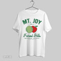 Original Mt Joy Live At Forest Hills Sep 19 2025