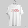 Original Newscum Destroyed California