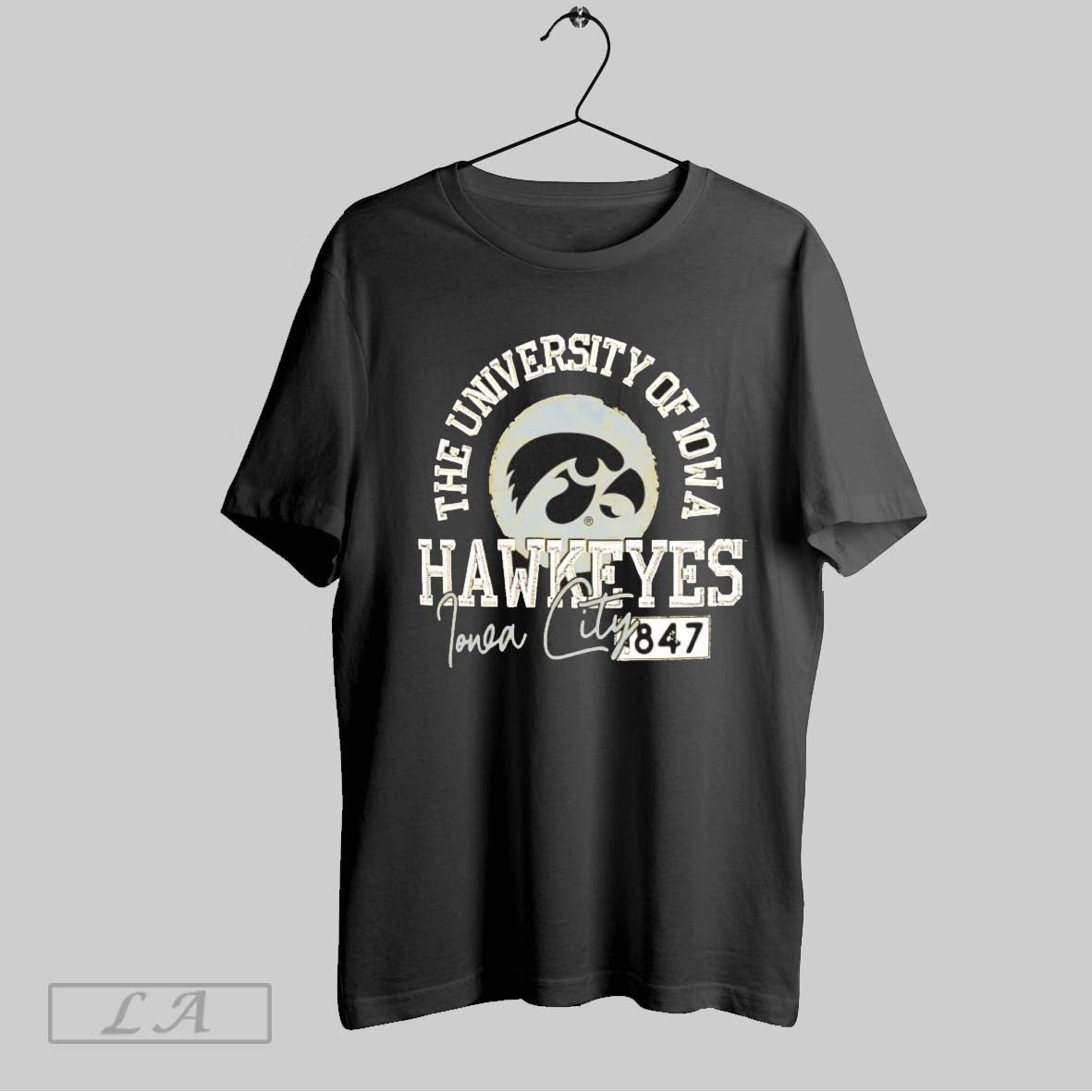 Original The University Of Iowa Hawkeyes Iowa City 1874