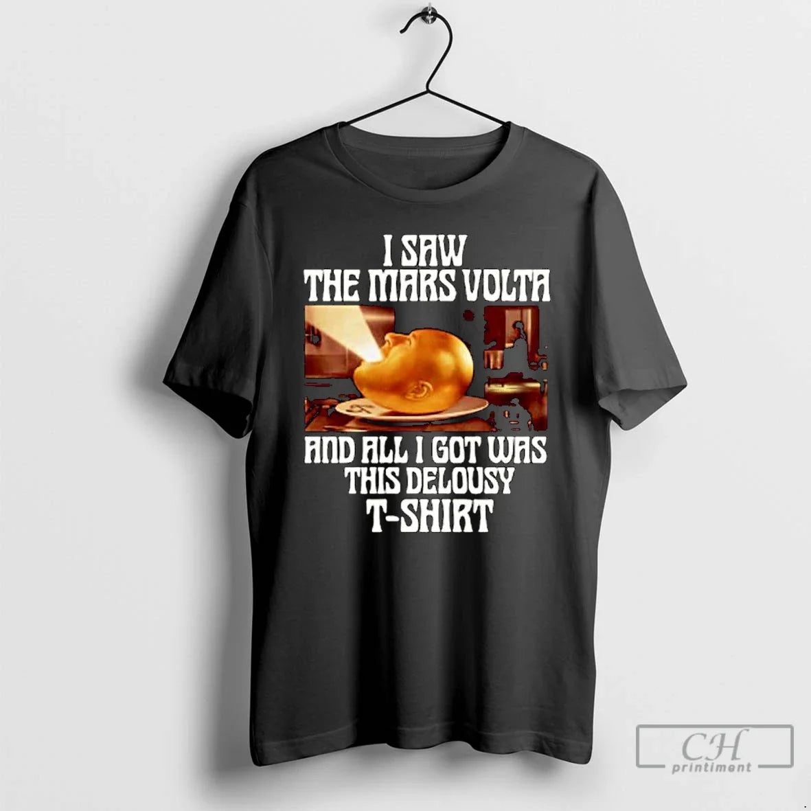 Premium I Saw The Mars Volta And All I Got Was This Lousy T Ornaments