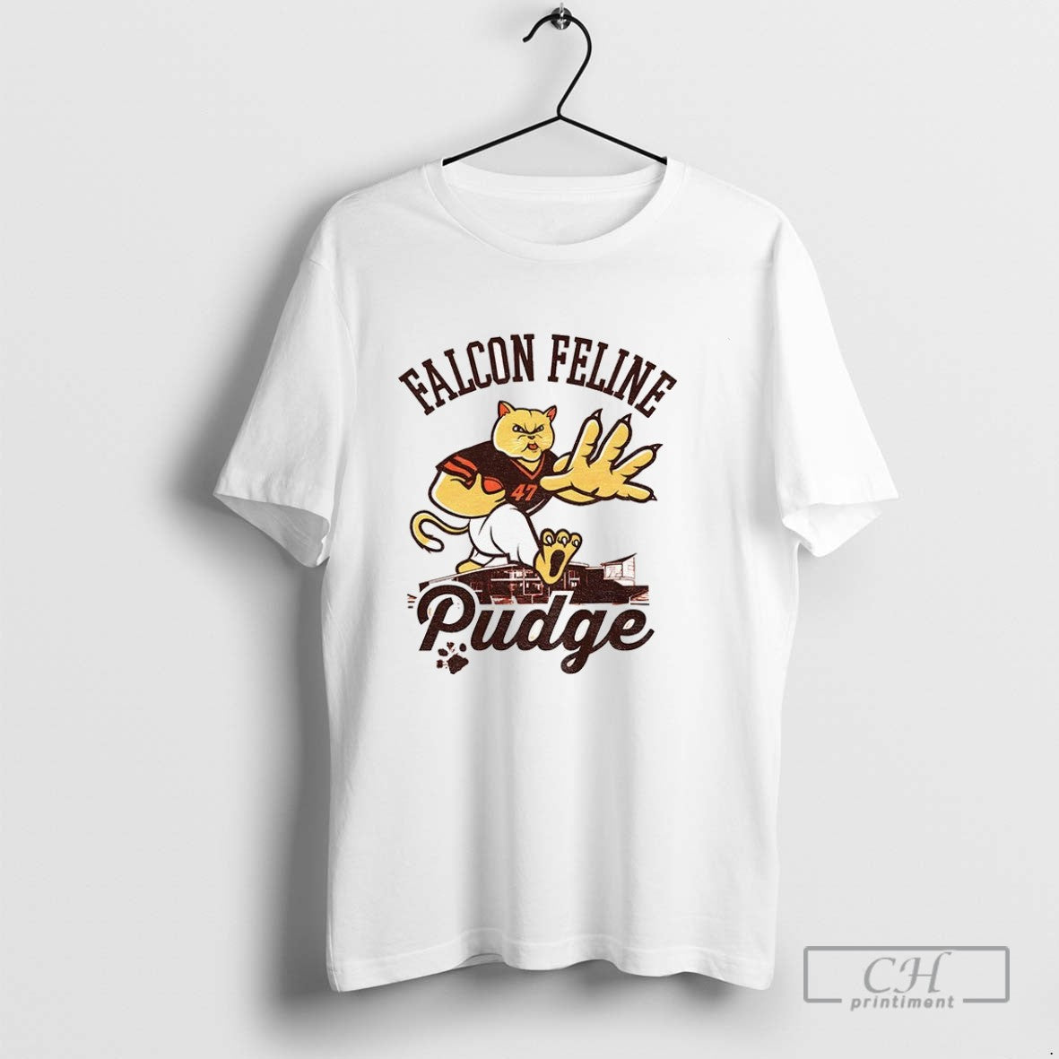 Pudge The Cat Falcon Feline Pudge