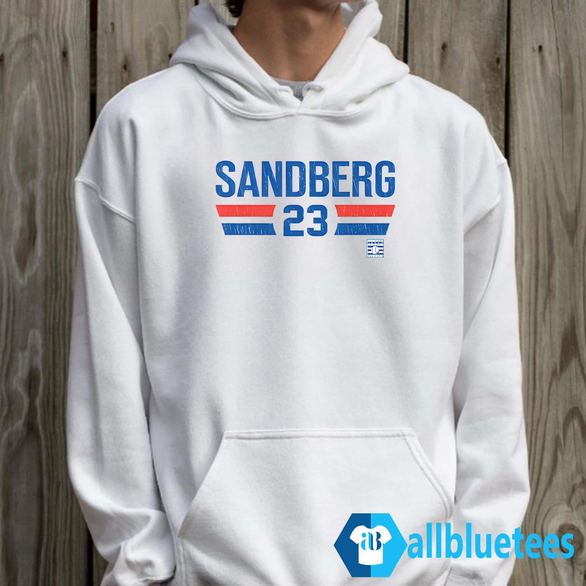 Ryne Sandberg 23 Baseball Shirt