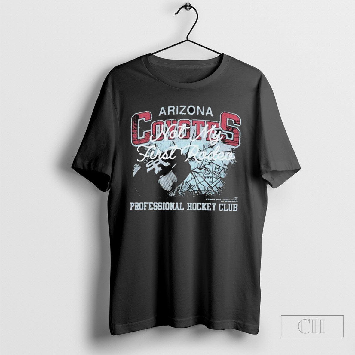 Stevenson Ranch Arizona Coyotes Professional Hockey Club