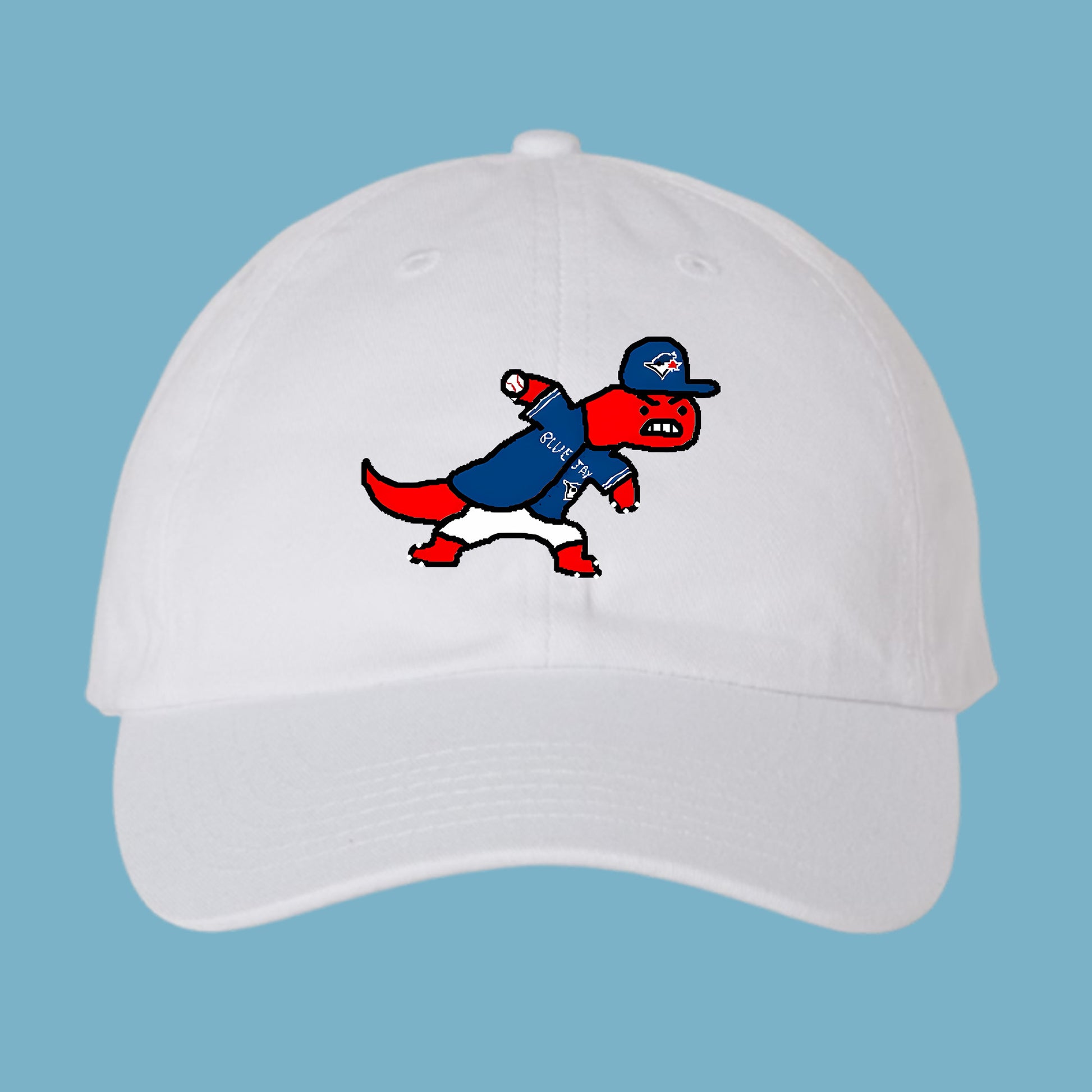 Toronto Raptors Funny Hat