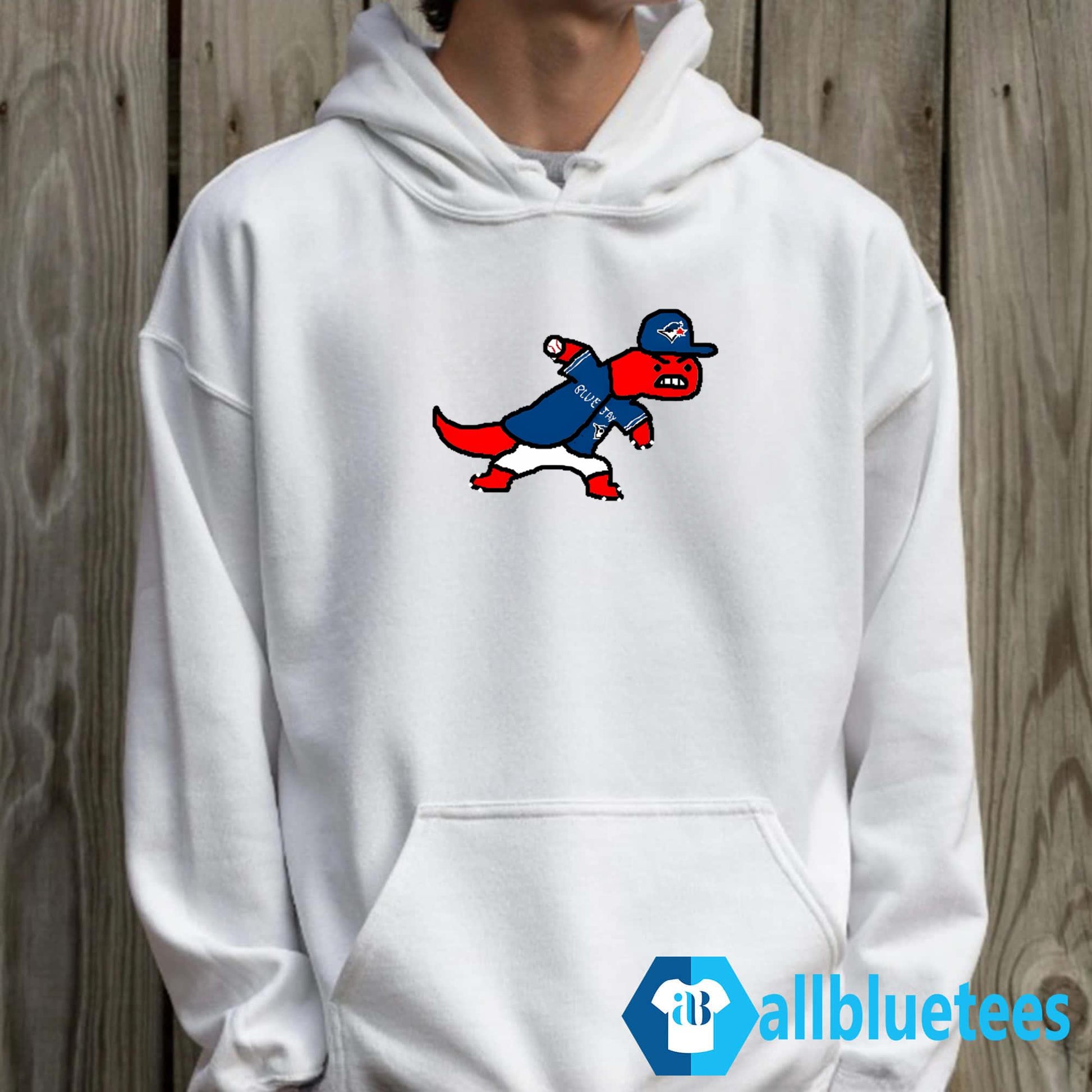 Toronto Raptors Funny Shirt