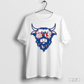 Vintage Style Buffalo Football Bills Sunglasses