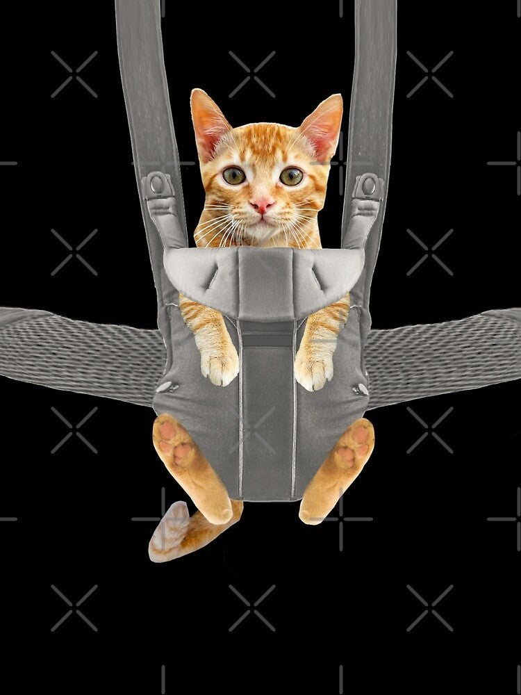 Monty the cat in baby carrier by Del0860