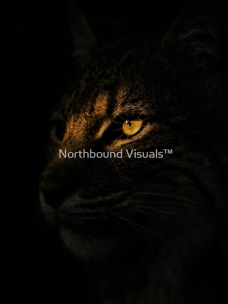 Keeper of the Dark by Northbound Visuals™
