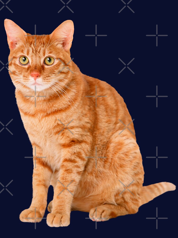Orange Tabby Cat by mariejosee22