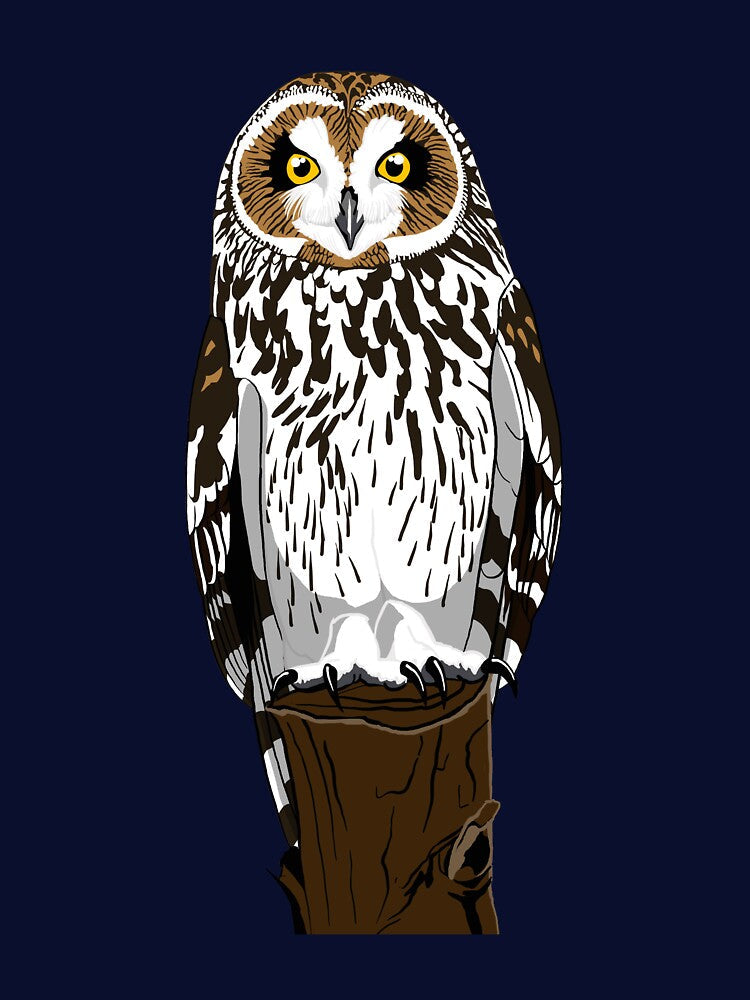 Short-Eared Owl by BennuBirdy