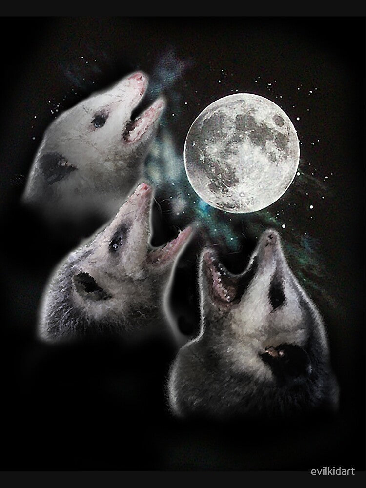 3 Opossum Moon by evilkidart