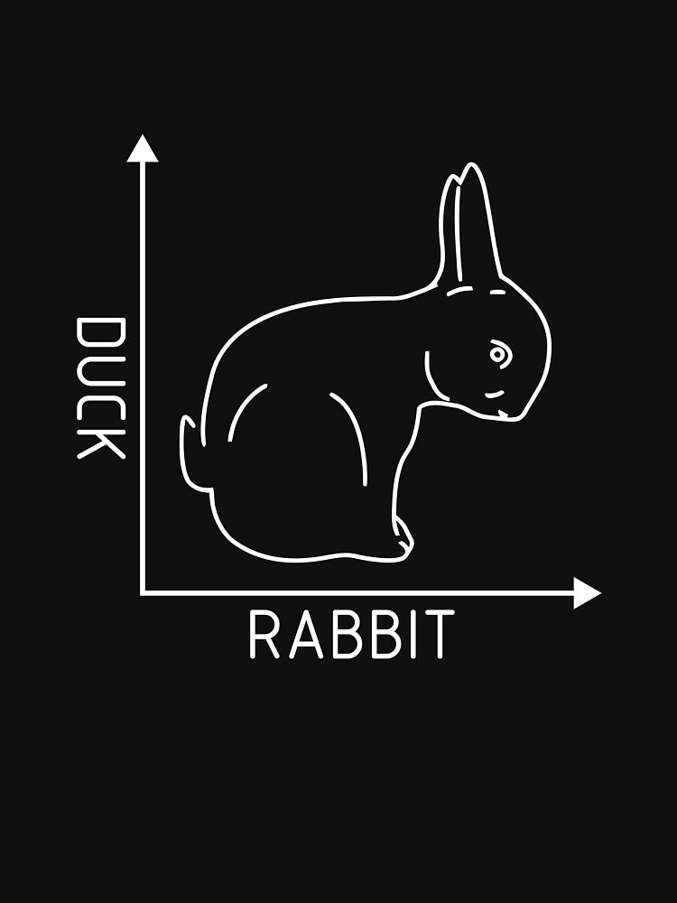 DUCK/RABBIT by ramib