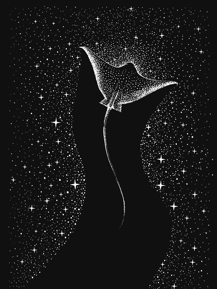 Star Collector by AlirizaCAKIR
